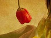 Enlightening Musings Early