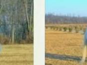 Youngest Daughter Working Events Manager KJU?