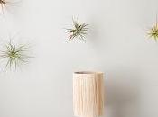 Inspiration Board Plants