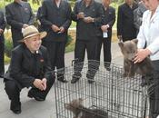 Director Party Finance Accounting Department