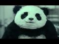 DanCool Tube: Means Business. Never Panda. Else.