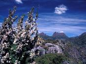 Tasmania, Part Cradle Mountain