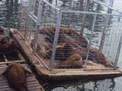 Beach Trip, Last Trip Summer!