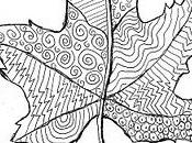 Line Pattern Leaf