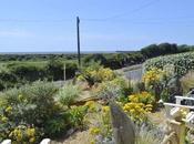 Garden Driftwood, Poem Masefield