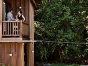 Week Review: Great Stories Have Missed