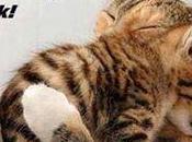 Some Wisdom Chuckles.