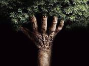 Hand Within Tree Life… Evolutional Questions…