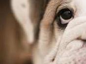 Best Videos Make Your