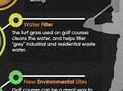 Golf Courses Environment Infographic