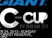 Giant Marathon 2013 November
