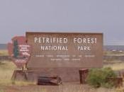 It’s Always About Scorpions, Visiting Arizona? Petrified Forest National Park