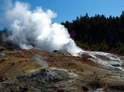 Yellowstone's Steamboat Geyser Roars Life