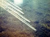 Disgraceful Government Treatment Veterans Affected Agent Orange