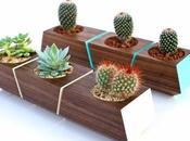 Walnut Planters Revolution Design House