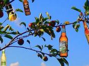 Apple Their Eye: Beer Companies Getting Fruity