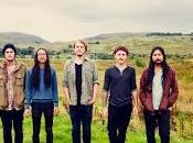 O'Brother Disillusion (Album Stream)