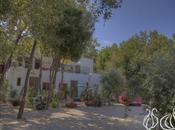 Beit Batroun: Eclectic Charming Maison D’Hôte