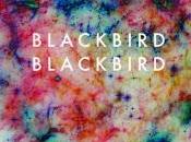 A$AP Rocky "Fashion Killa" (Blackbird Blackbird Remix)