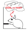 Brain Shifts Between Purpose Habit.