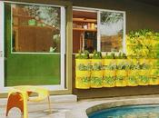 Week Review: Great Stories Have Missed