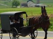 Amish Paradise
