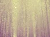 Mountain Range Silence Three Parts"