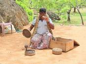 Snakebite Should Notifiable Disease India Pillay