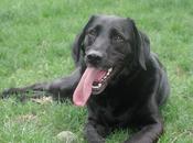 Lucy Madison’s Reward! Young Girl Started Business Adopt