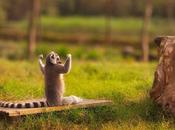 Day: Real-life King Julien