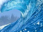 Your Ready Next Digital Wave? Role Changing...