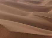 Tales From Empty Quarter