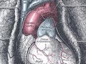 Friday Q&amp;A;: Collapsed Lung