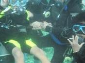 Scuba Diving Cebu, Philippines