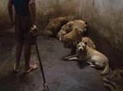 Animal Rights Groups Infiltrate Expose Barbaric China Meat Trade
