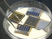Manufacturing Solar Cells Using Cheap Accessible Materials. Spray-On Applications?