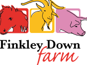 Finkley Down Farm Review