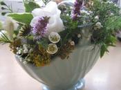 Treasure Troves Happy Accidents