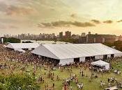 Music Festivals: What Should Examined After Electric