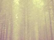 Mountain Range Adjustments (Stream)