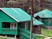 Patnitop-Paradise Nature Lover