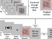 Language Boost Unseen Objects into Visual Awareness.