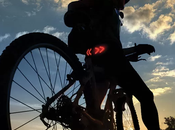 Buztronics Rear Signal