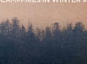 Review Campfires Winter Picture Health
