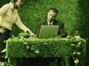 Green Schools Offices Increase Productivity
