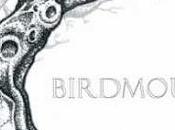 Daily Bandcamp Album; Birdmouth