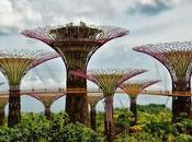 Supertrees Singapore