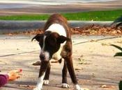 After Weeks Running, Found Sanctuary Texas Church