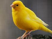 Qnary Your Reputation