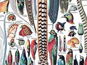 Ginnels’ Fuzz Rock [stream]